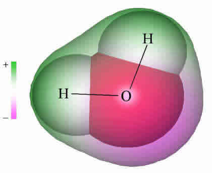 Because molecules are smaller than light waves, they cannot be observed 