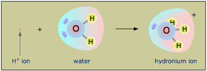 hydrogen and hydronium ions