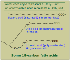 some C-18 fatty acids