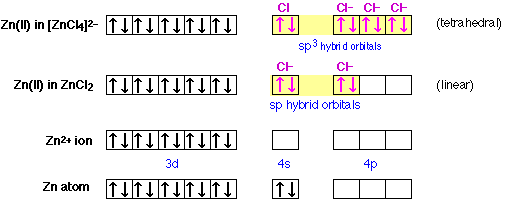 hybrid orbitals in tetrachlorozinc ion
