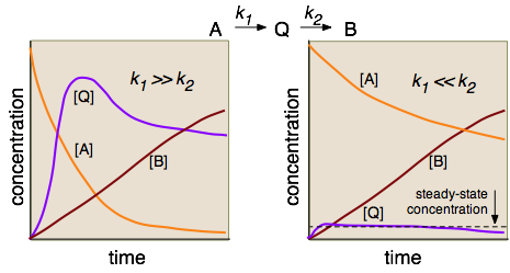 steady-state approximation