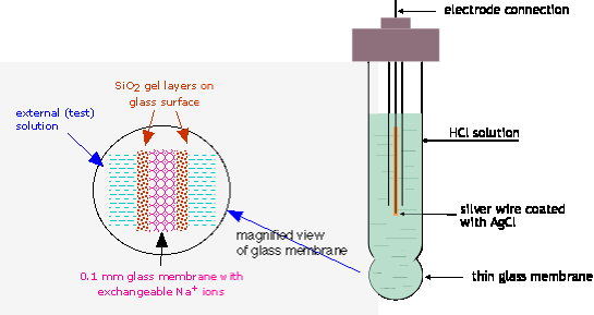 schematic diagram of a glass electrode for pH measurement