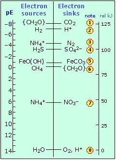 electron free energy diagram of biological redox systems