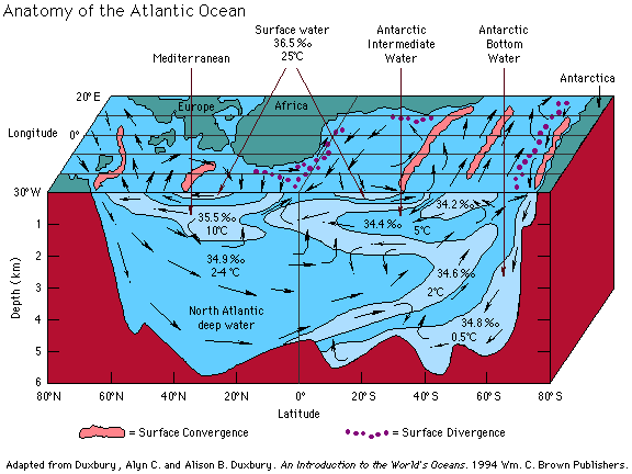 Diagram Of Ocean Water Temperatures 113