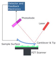 atomic force microscope