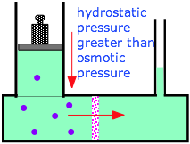 reverse osmosis