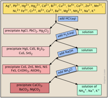 qualitative analysis separation scheme