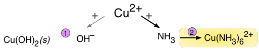 solubility complex ion formation