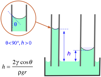 capillary rise, meniscus