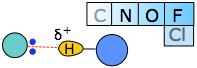 hydrogen bond