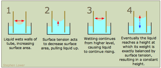 capillary rise