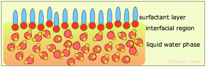 surfactant