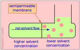 osmotic flow