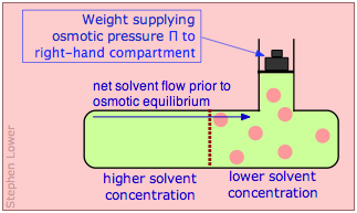 osmotic equilibrium