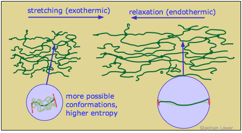 rubber elasticity entropy