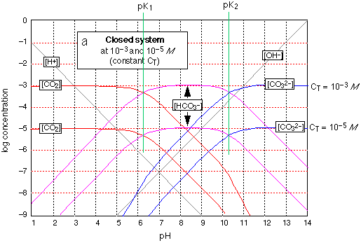 log-C vs pH diagram for carbonate system carbonic acid