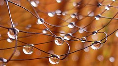 Water And Its Structure Water And Its Structure