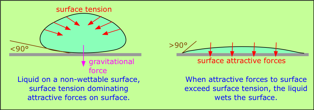 surface tension of water molecules