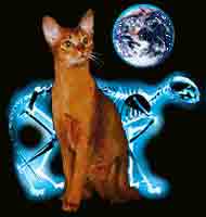 Schrodinger's cat from http://fusionanomaly.net/chaos.html