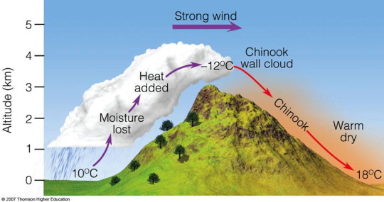 chinook wind