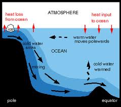 thermohaline circulattion