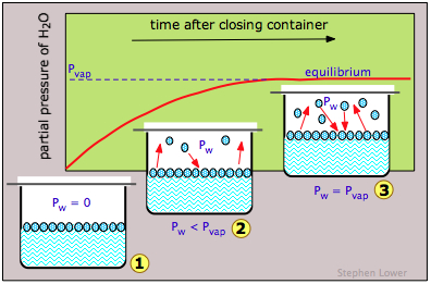 equiibrium vapor pressure