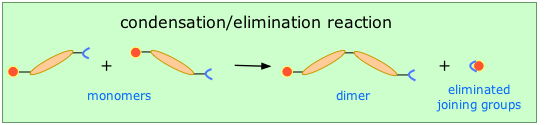 condensaton polymerization