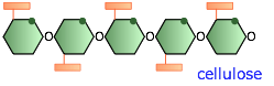 cellulose