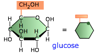 glucose