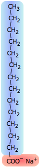 surfactant molecule