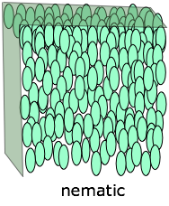 nematic liquid crystal