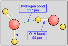 hydrogen bonding in water